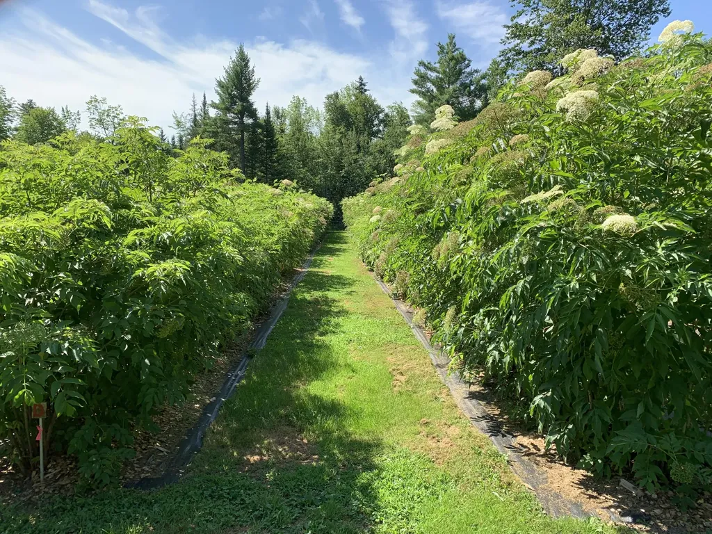 194 Bartlett Road Belgrade ME 04917