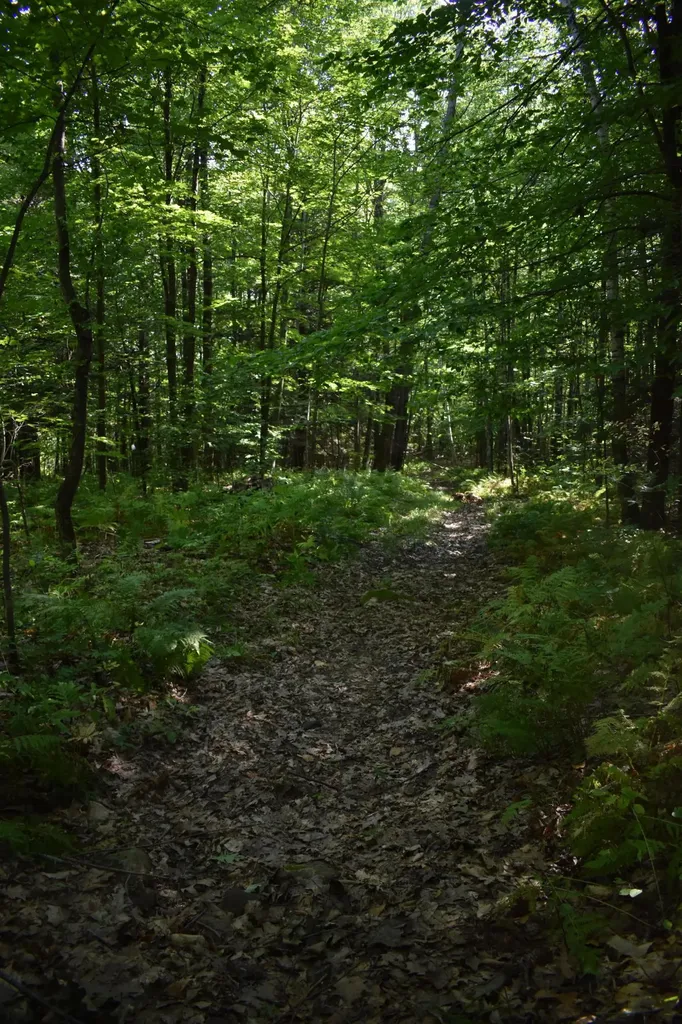 323 Ridge Road Monmouth ME 04259