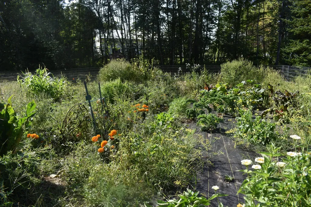 323 Ridge Road Monmouth ME 04259