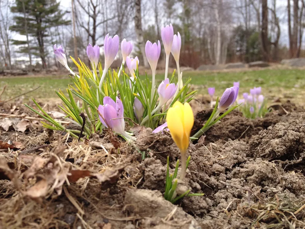 323 Ridge Road Monmouth ME 04259