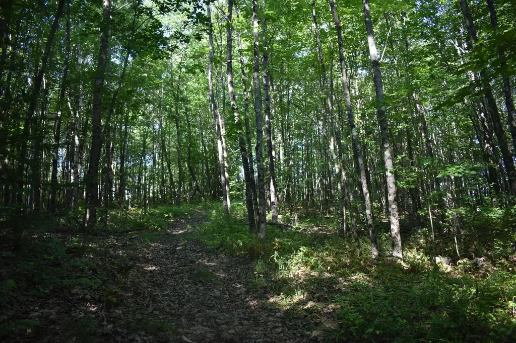 323 Ridge Road Monmouth ME 04259