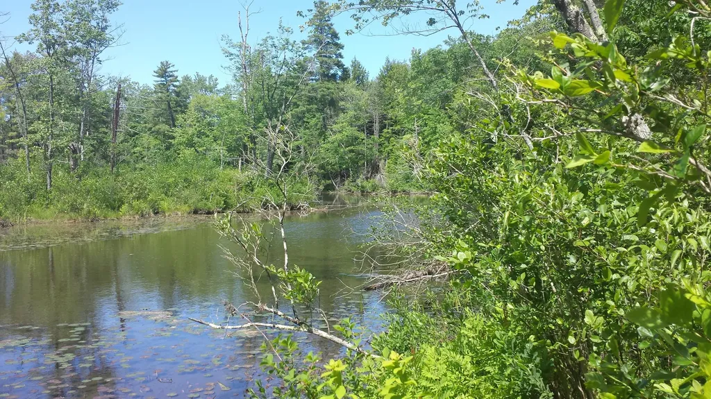 594 River Road Windham ME 04062