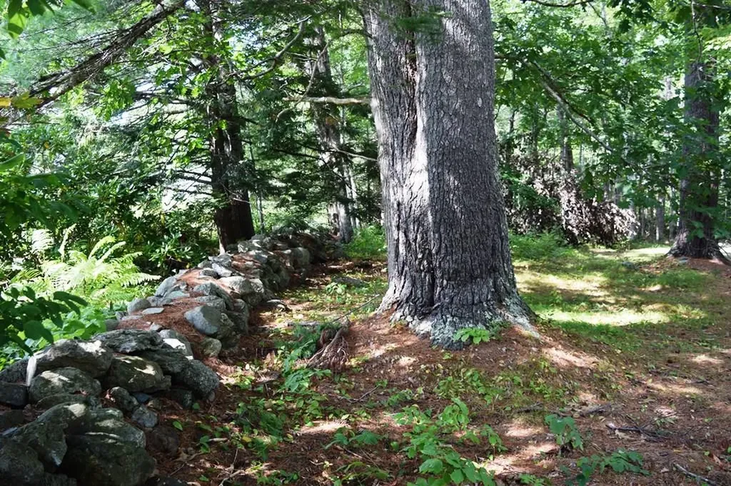 135 Bucksport Road Ellsworth ME 04605