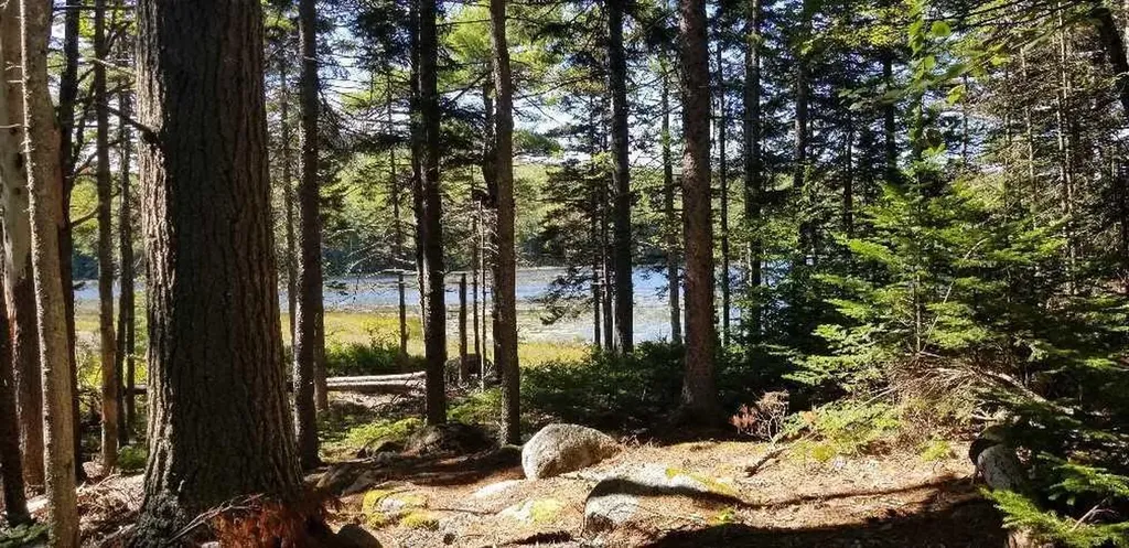 23 Pine Hill Lane Blue Hill ME 04614