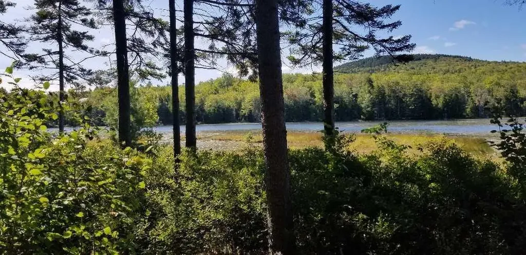 23 Pine Hill Lane Blue Hill ME 04614