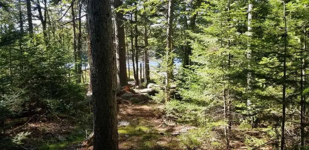 23 Pine Hill Lane Blue Hill ME 04614