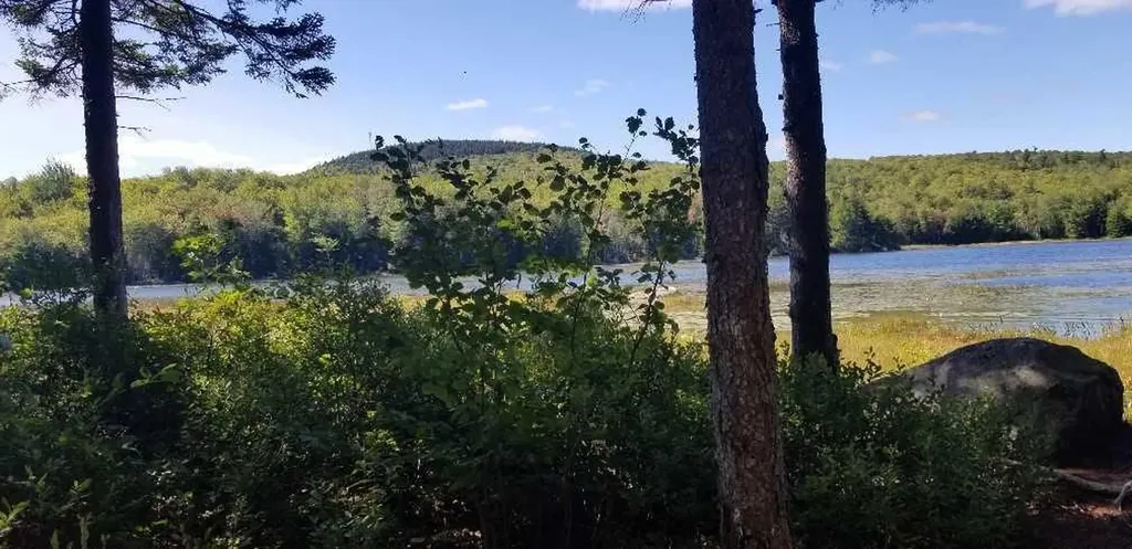 23 Pine Hill Lane Blue Hill ME 04614