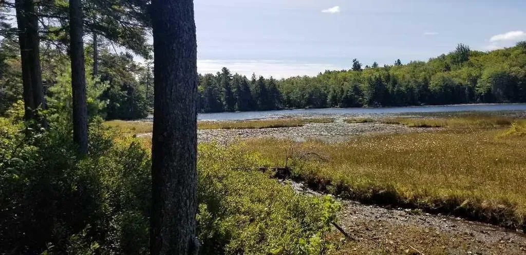 23 Pine Hill Lane Blue Hill ME 04614