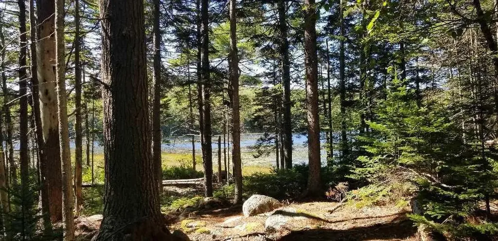 23 Pine Hill Lane Blue Hill ME 04614