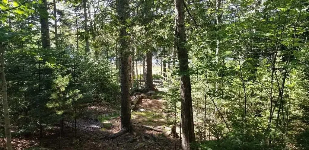23 Pine Hill Lane Blue Hill ME 04614