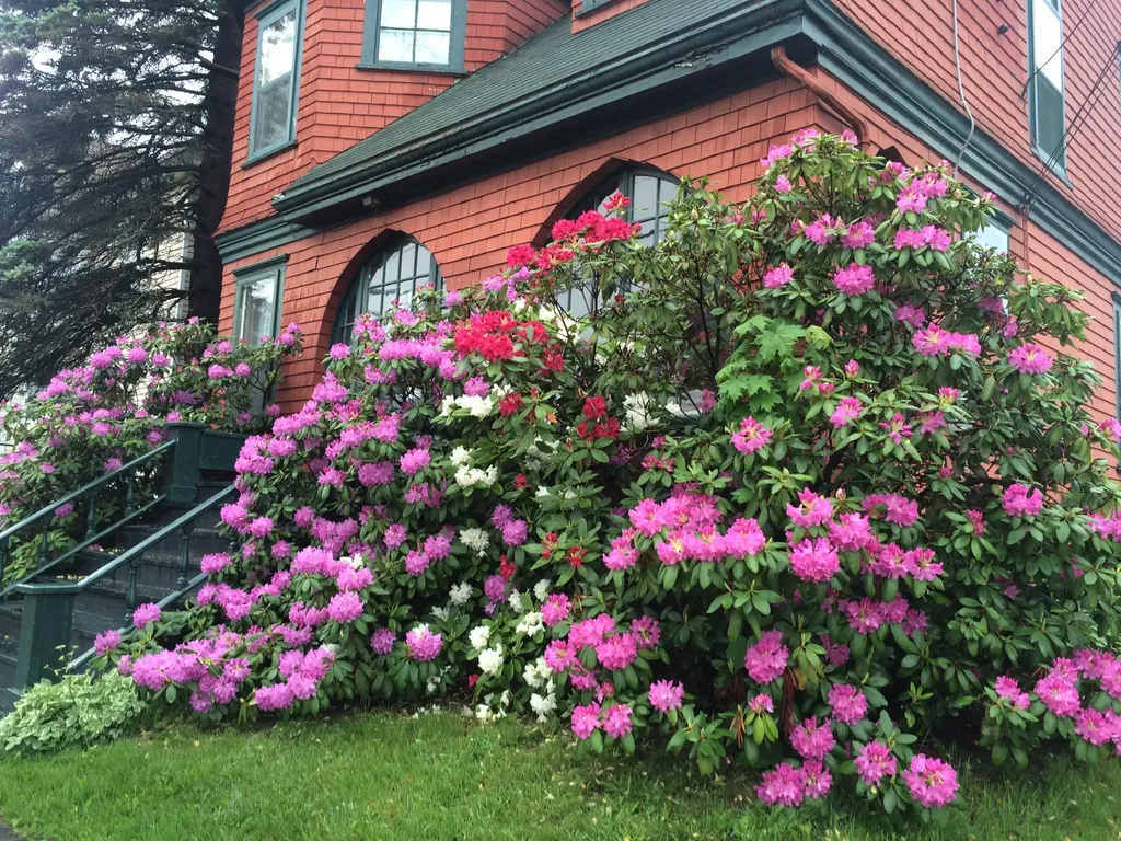 312 Center Street Bangor ME 04401