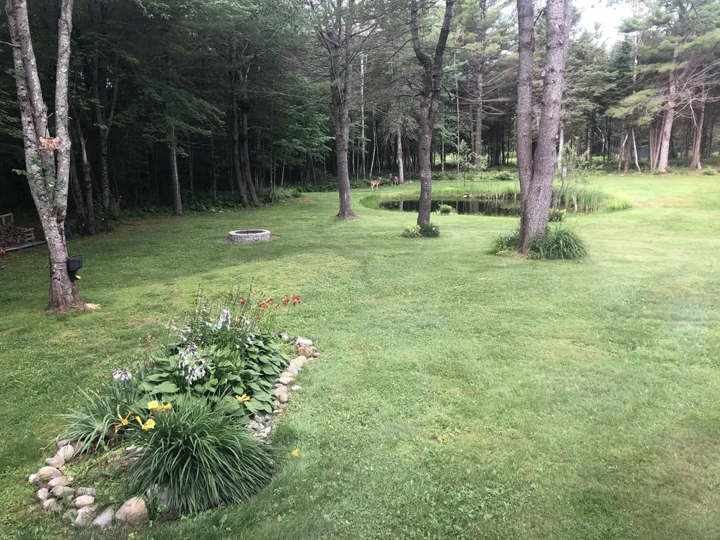 573 Lower Detroit Road Plymouth ME 04969