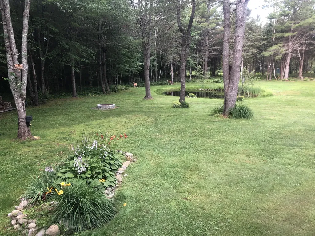 573 Lower Detroit Road Plymouth ME 04969