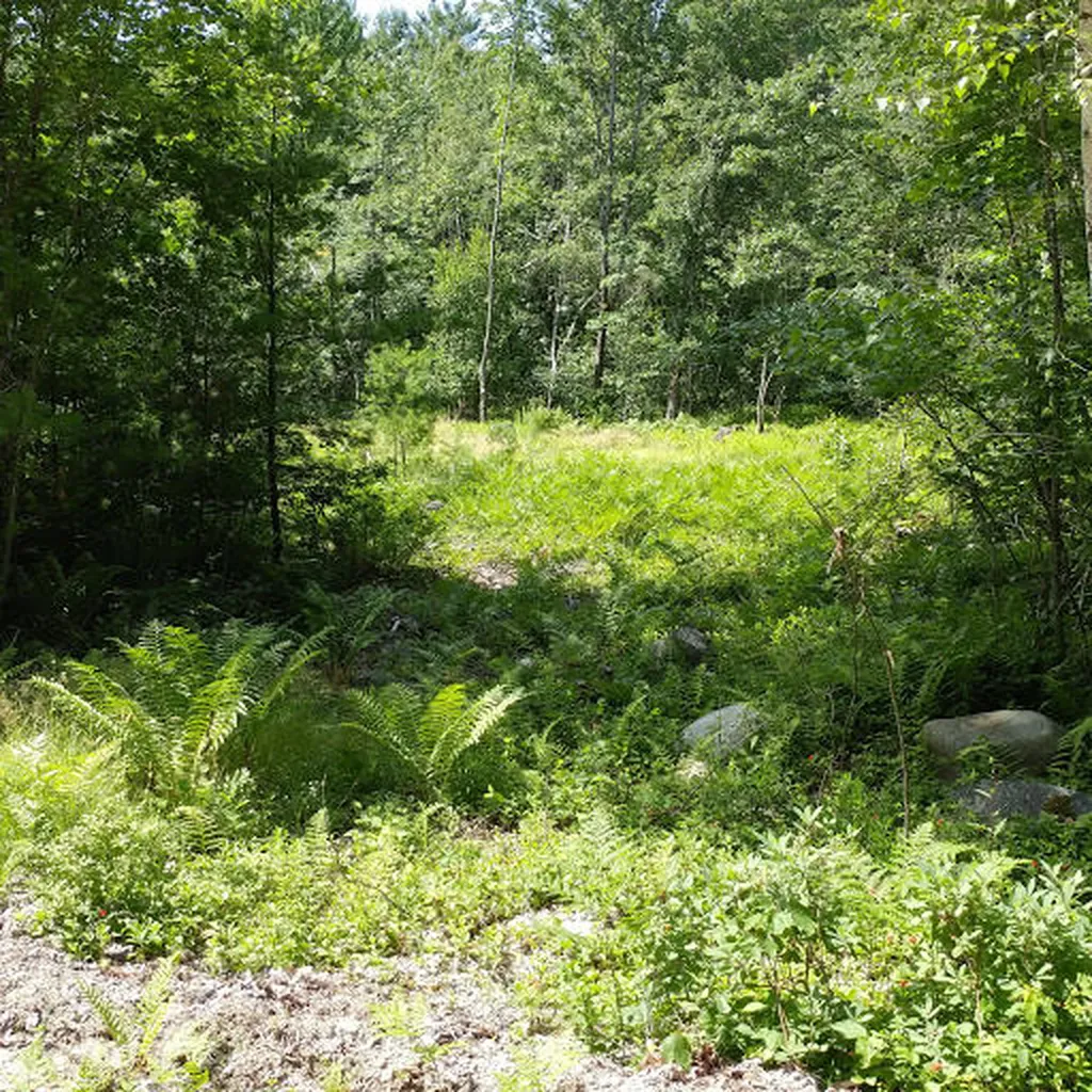 0 Hiram Hill Road Hiram ME 04041