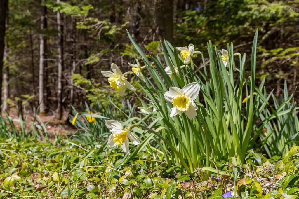 17 Merrill Brook Drive Scarborough ME 04074