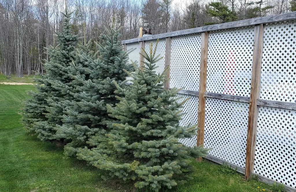 114 Sawyer Road Scarborough ME 04074