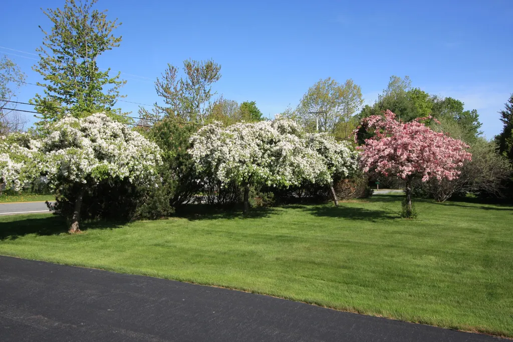 1681 Essex Street Bangor ME 04401