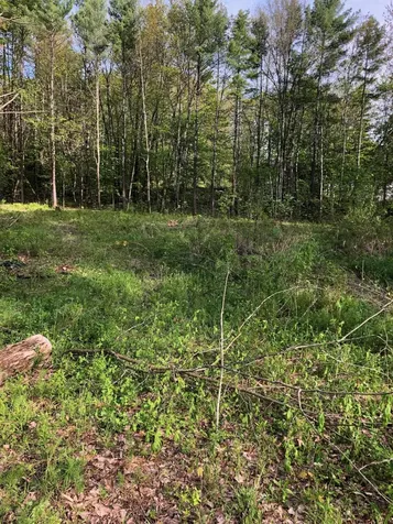 Lot 3 Remington Way Falmouth ME 04105