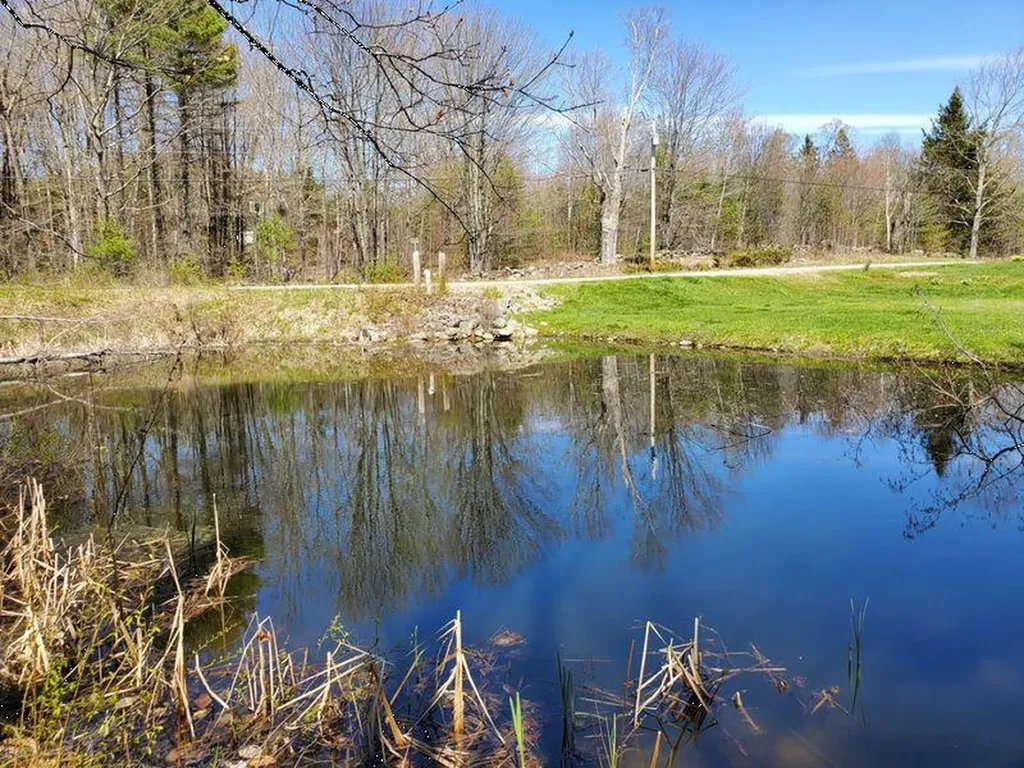 282 Borough Road Chesterville ME 04938