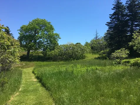 204 Coombs Neck Road Vinalhaven ME 04863