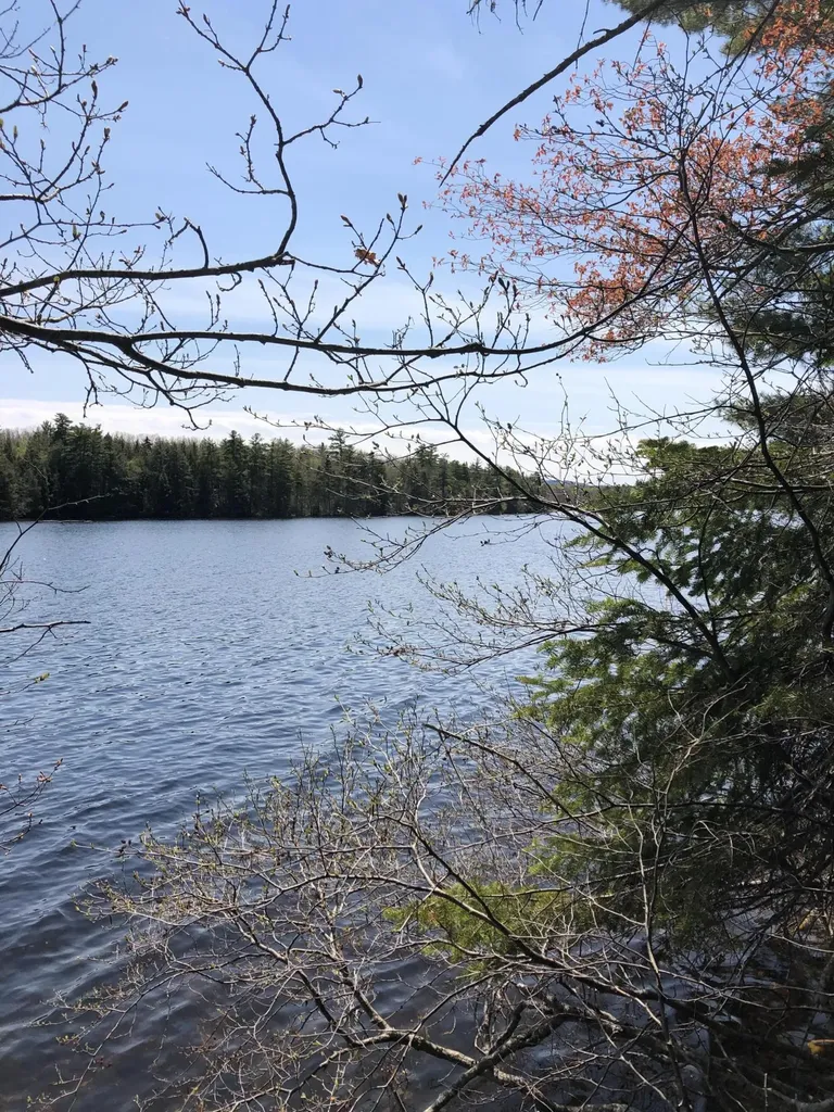00 Scoppa Road Lincolnville ME 04849