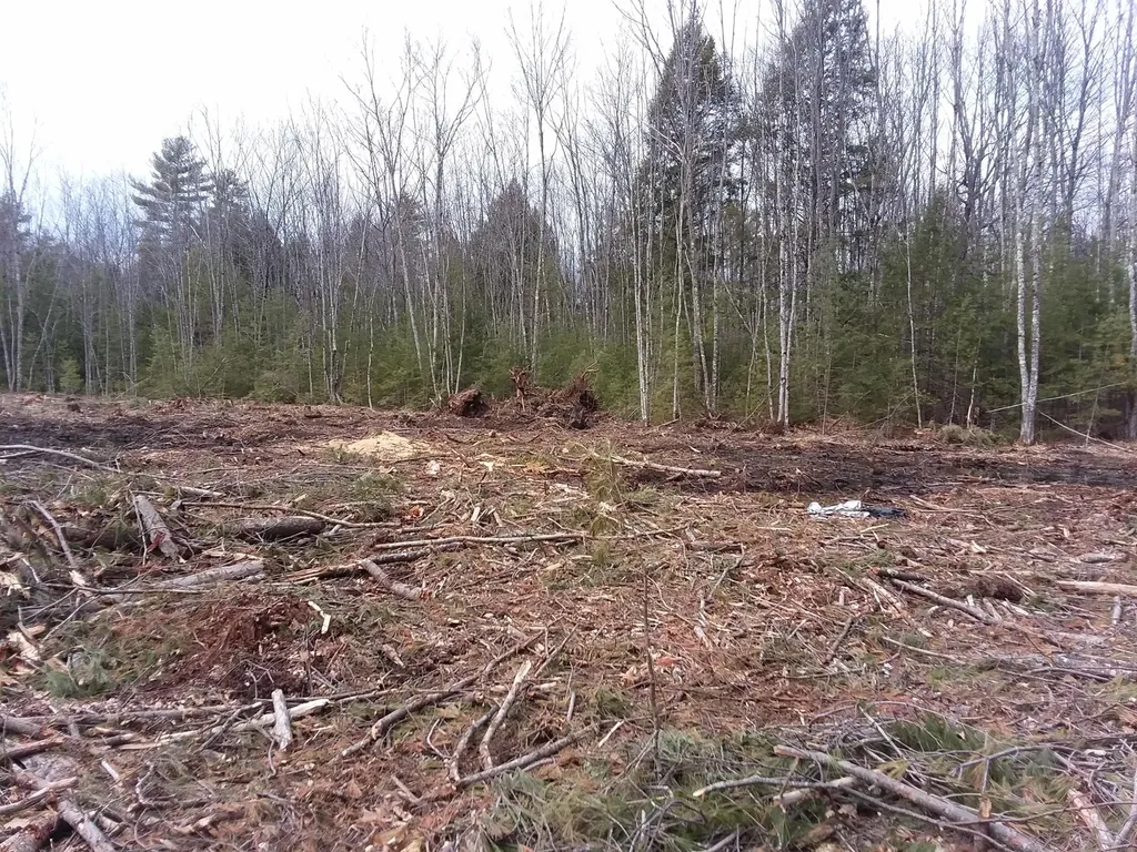 748 Sokokis Avenue Limington ME 04049