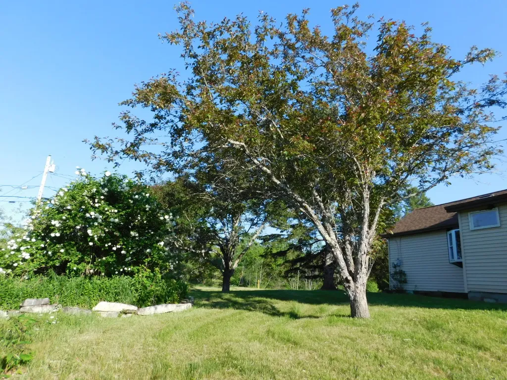 1014 Silver Lake Road Bucksport ME 04416