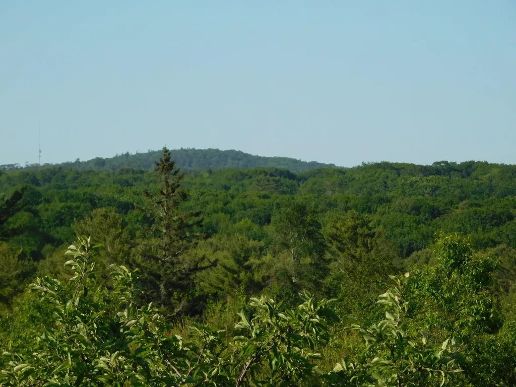 1014 Silver Lake Road Bucksport ME 04416