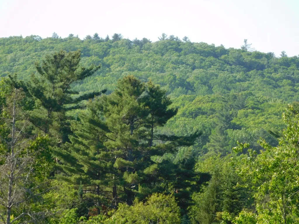 1014 Silver Lake Road Bucksport ME 04416