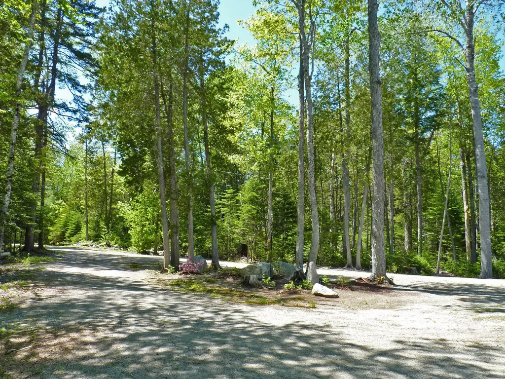 170 Tannery Brook Road Mariaville ME 04605