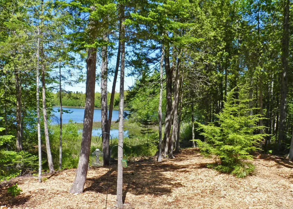 170 Tannery Brook Road Mariaville ME 04605
