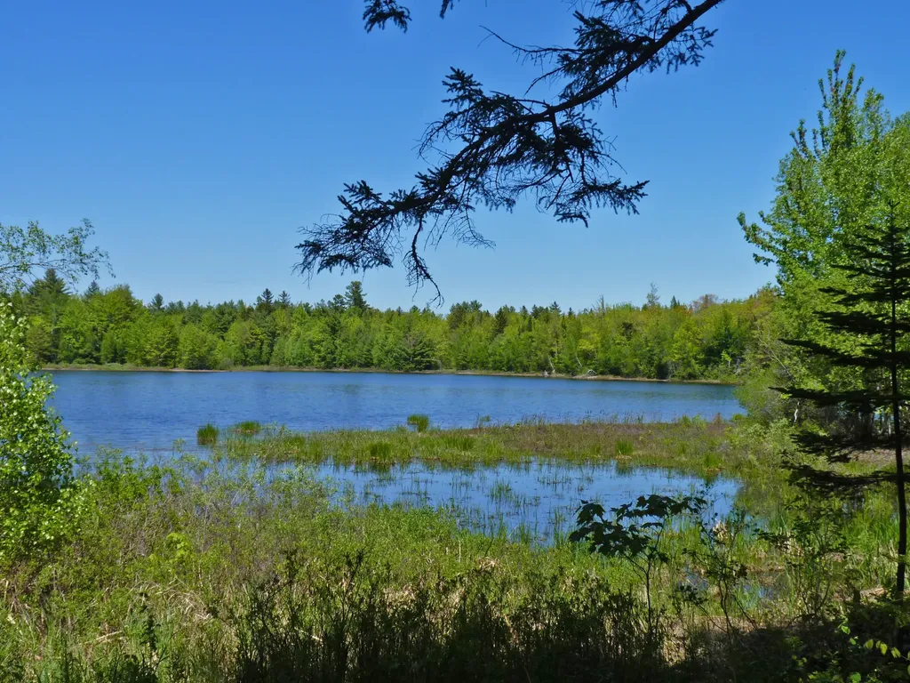 170 Tannery Brook Road Mariaville ME 04605
