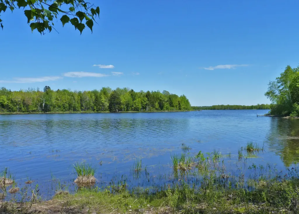 170 Tannery Brook Road Mariaville ME 04605