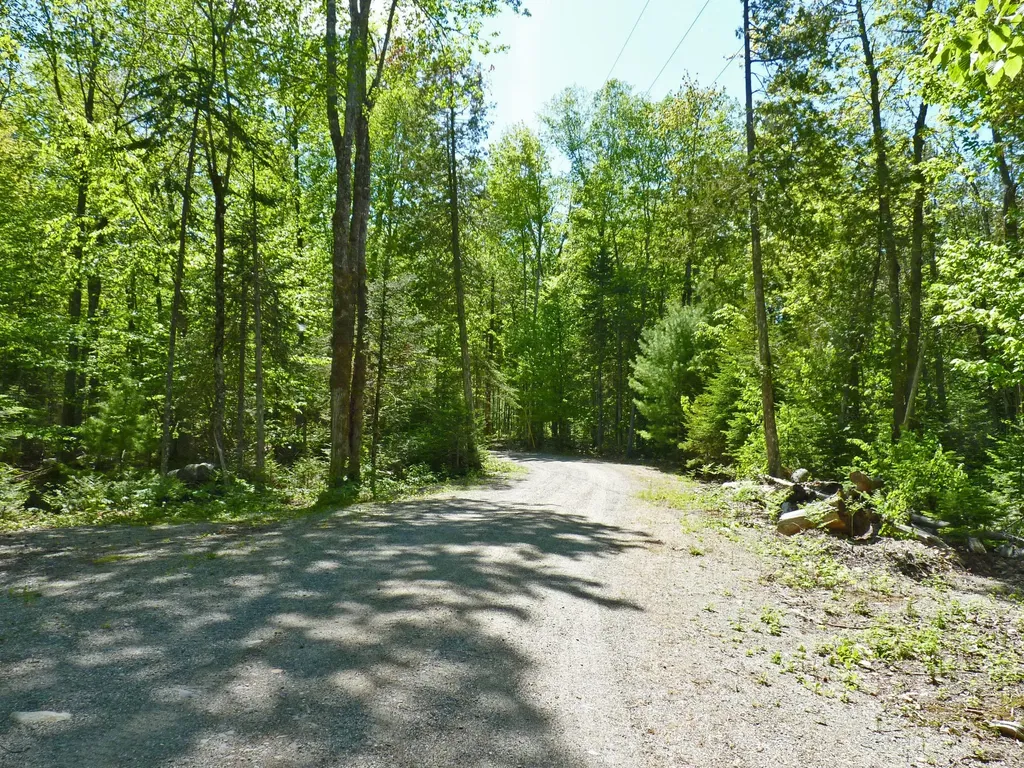 170 Tannery Brook Road Mariaville ME 04605