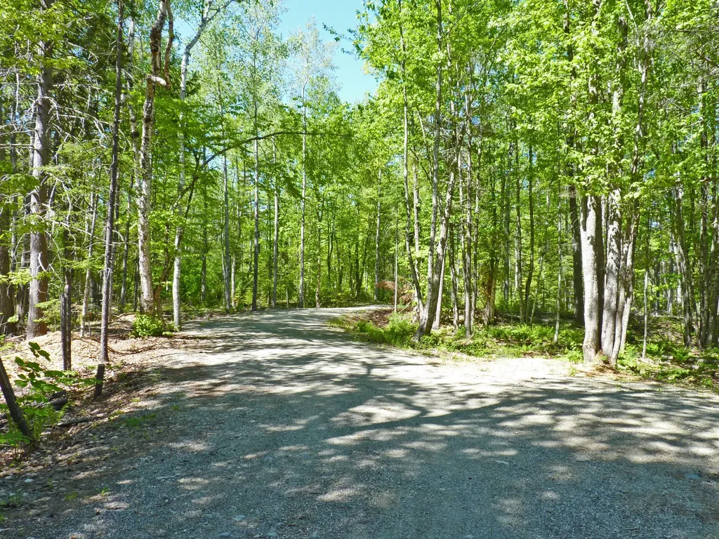 170 Tannery Brook Road Mariaville ME 04605