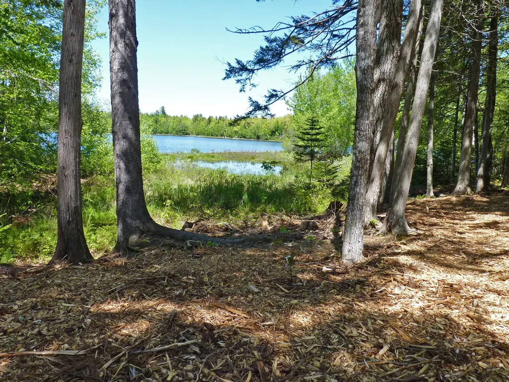 170 Tannery Brook Road Mariaville ME 04605