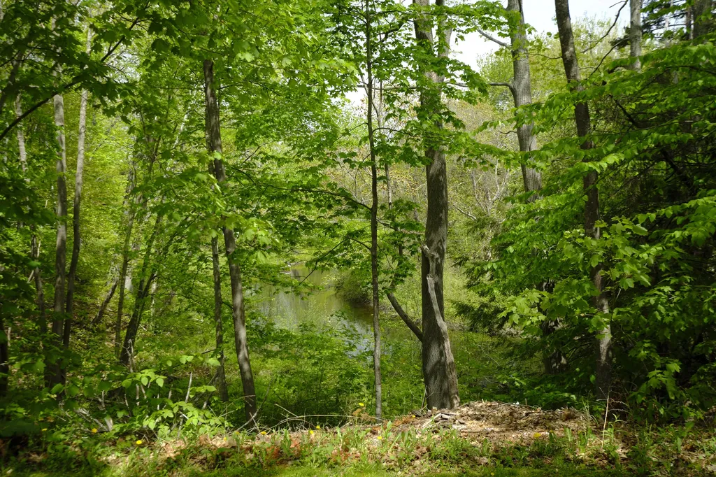 1 Herrick Road Camden ME 04843