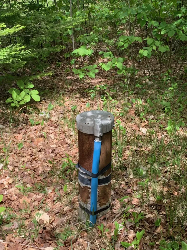 166 Kingfisher Trail Perry ME 04667