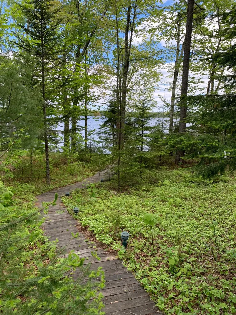 166 Kingfisher Trail Perry ME 04667