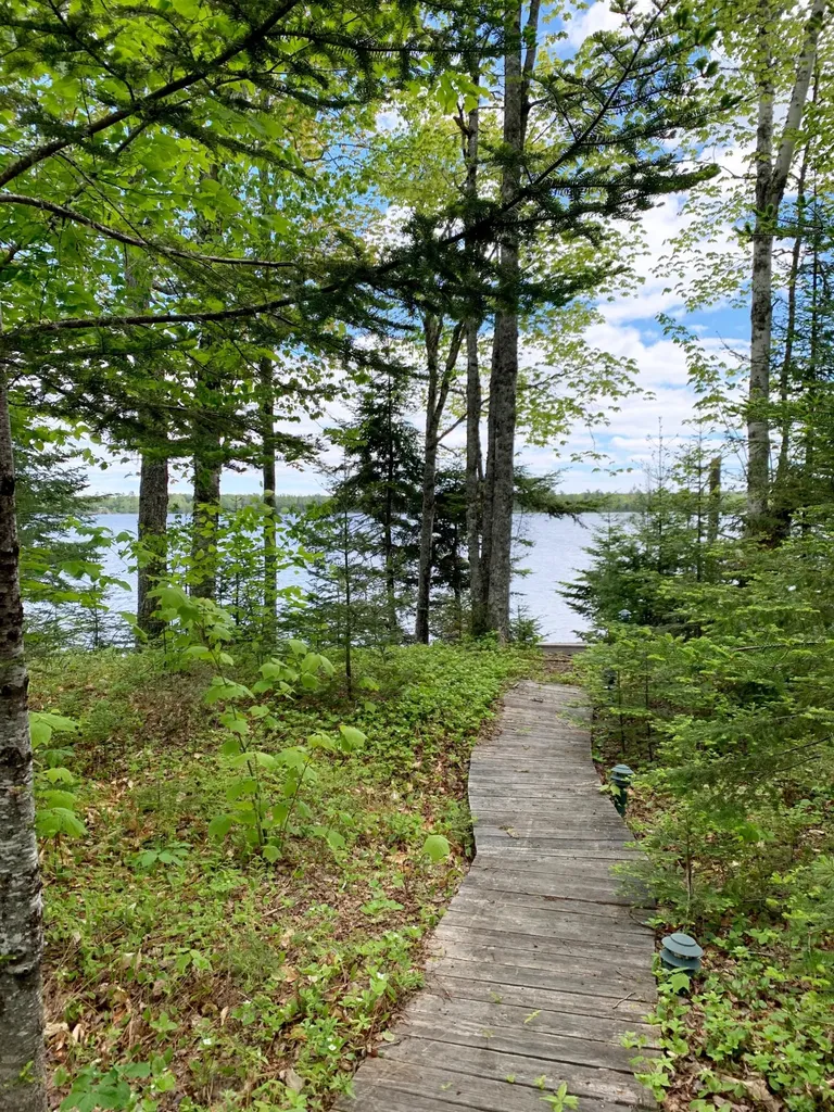 166 Kingfisher Trail Perry ME 04667