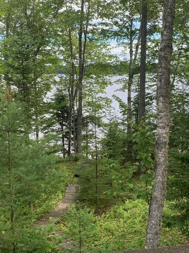 166 Kingfisher Trail Perry ME 04667