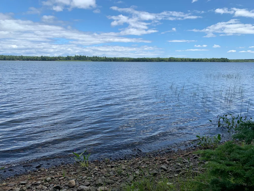166 Kingfisher Trail Perry ME 04667