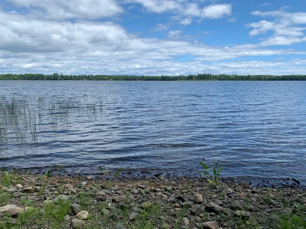 166 Kingfisher Trail Perry ME 04667