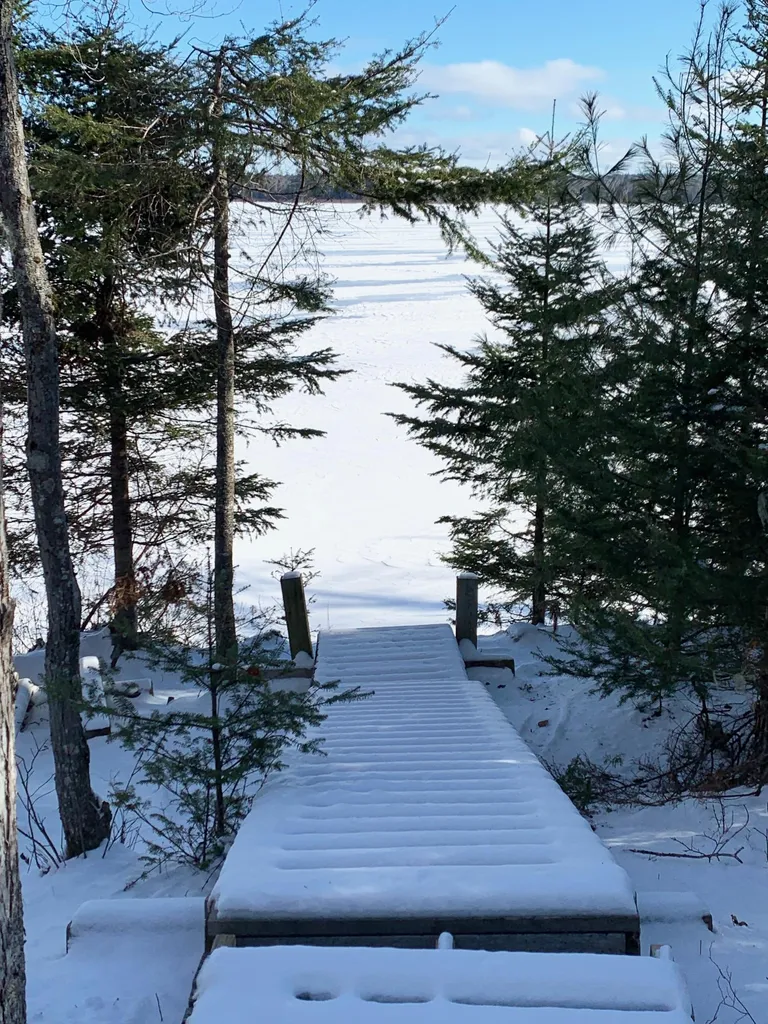 166 Kingfisher Trail Perry ME 04667