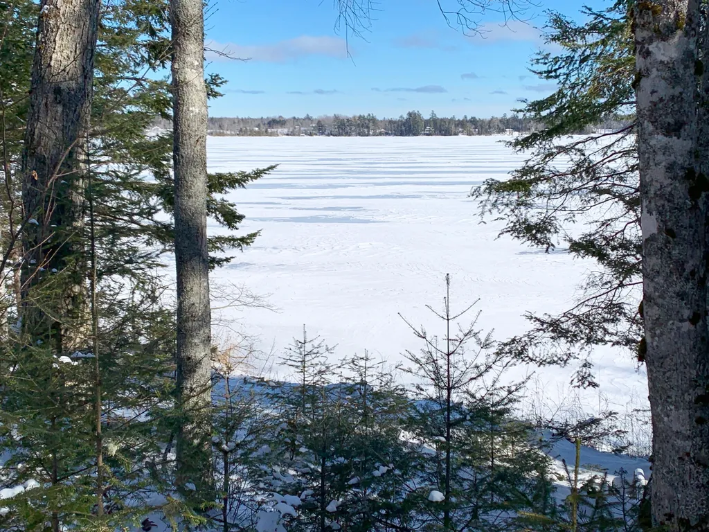 166 Kingfisher Trail Perry ME 04667