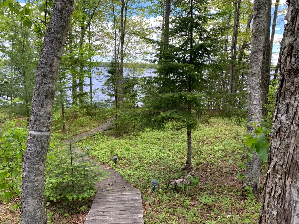 166 Kingfisher Trail Perry ME 04667