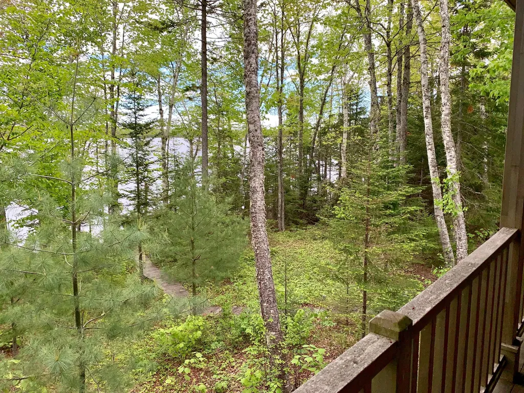 166 Kingfisher Trail Perry ME 04667