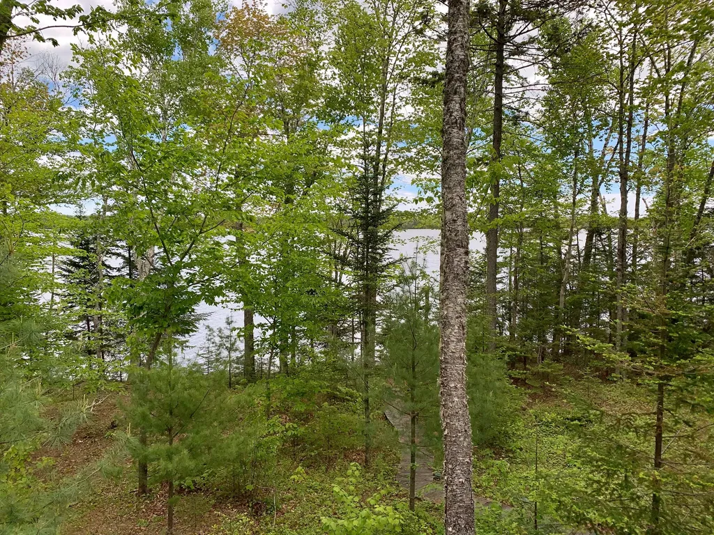 166 Kingfisher Trail Perry ME 04667