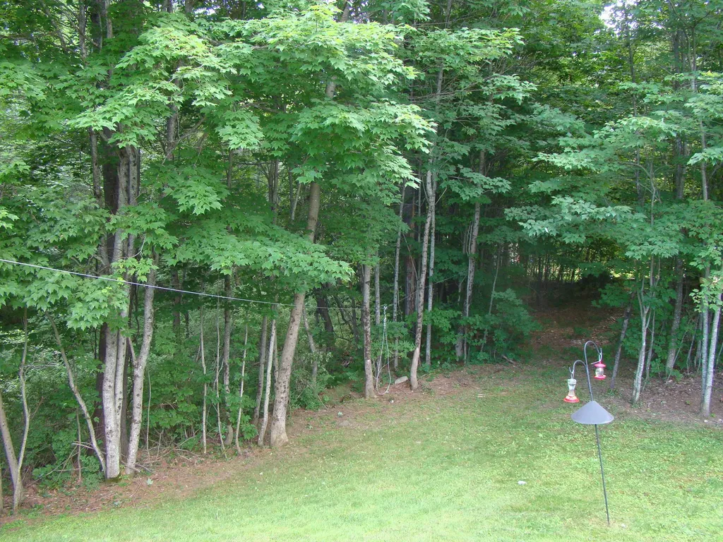 5 Strawberry Lane Poland ME 04274