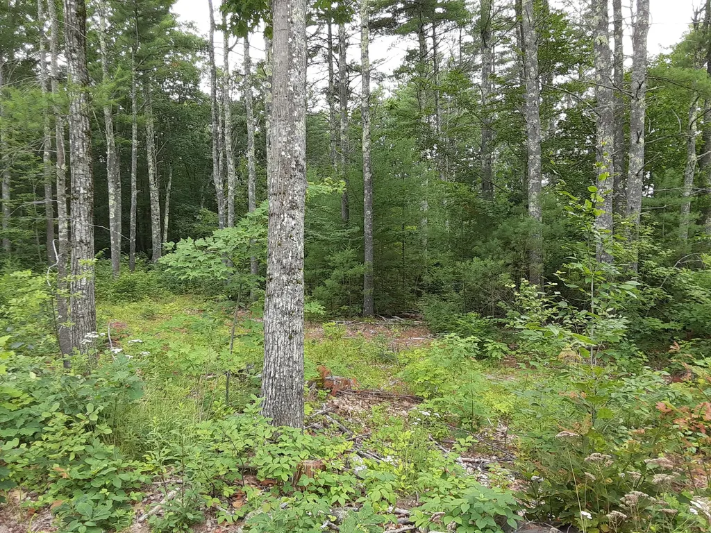 36ACRES Deering Ridge Road Waterboro ME 04030